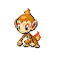 Chimchar front sprite
