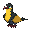 Kilowattrel front sprite