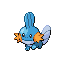 Mudkip front sprite