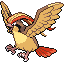 Pidgeot front sprite