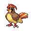 Pidgeotto front sprite