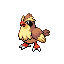 Pidgey front sprite