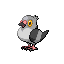 Pidove front sprite