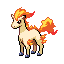 Ponyta front sprite