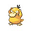 Psyduck front sprite