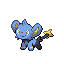 Shinx front sprite