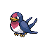 Taillow front sprite
