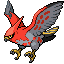 Talonflame front sprite