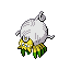 Tarountula front sprite